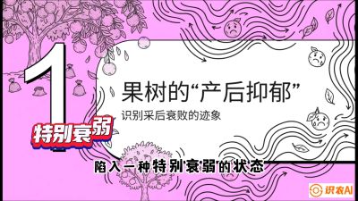 第2节：【冬肥策略】采后&ldquo;月子肥&rdquo;：大小年的精准干预术，课程：《柑橘底肥&ldquo;翻身账&rdquo;：从改土到高产的实战全书》