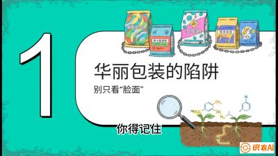 第4节：【黄金配方】底肥里的&ldquo;铁三角&rdquo;与&ldquo;微量雷区&rdquo;课程：《柑橘底肥&ldquo;翻身账&rdquo;：从改土到高产的实战全书》