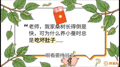 第01节：不仅仅是树&mdash;&mdash;顶级品种选配策略，课程：《桑海淘金：桑树高产与蚕桑安全进阶实战课》