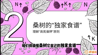 第04节：地下核动力&mdash;&mdash;桑树专用水肥一体化配方，课程：《桑海淘金：桑树高产与蚕桑安全进阶实战课》