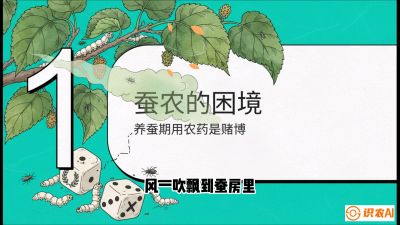 第06节：虫口夺叶（上）&mdash;&mdash;物理与生物防控绝技，课程《桑海淘金：桑树高产与蚕桑安全进阶实战课》