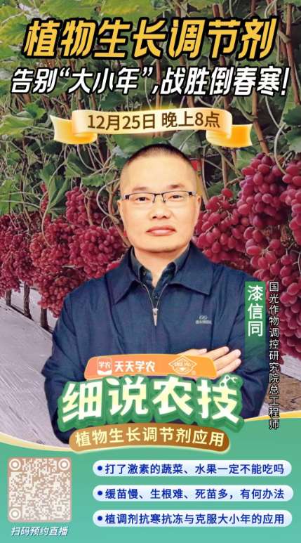 http://st-static1.58ouye.com/forums/2025/12/23/17664639985811.png