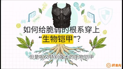 第三节：国产榴莲突围战：根系堡垒，菌根微生态构建与黄金定植窗口，课程：《国产榴莲突围战：从泰国经验到中国实操的8堂必修课（高阶实战版）》