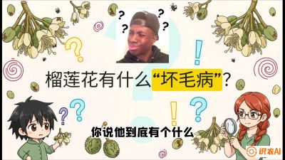 第六节：榴莲的午夜战事，夜间授粉战与花果期避雨策略，课程：《国产榴莲突围战：从泰国经验到中国实操的8堂必修课（高阶实战版）》