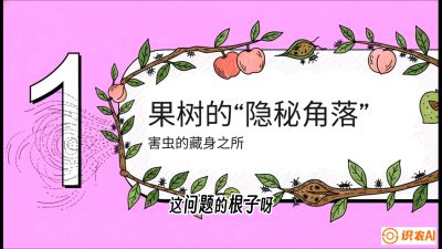 第3节：无人机专治&ldquo;打不透&rdquo;&mdash;&mdash;果树与高杆作物的穿透技巧，课程：《无人机植保搞钱必修课：从&ldquo;瞎飞&rdquo;到&ldquo;懂行&rdquo;的6步进阶》