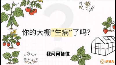 第2节（解毒篇）： 大棚里的&ldquo;红白绿&rdquo;警报&mdash;&mdash;读懂土壤盐渍化的求救信号，课程：《揭秘土壤的秘密：让土地帮你赚钱》#识农AI