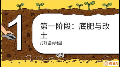 第6节（统筹篇）： 省钱又增产的&ldquo;黄金配比&rdquo;&mdash;&mdash;不同作物全年的养土实操方案，课程：《揭秘土壤的秘密：让土地帮你赚钱》#识农AI
