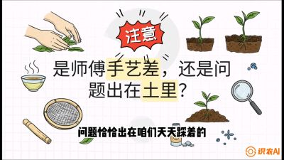 第02节（土肥篇）：告别&ldquo;苦涩水味&rdquo;：揭秘&ldquo;碳氮比&rdquo;调控术，种出自带兰花香的好茶底，课程：《茶金时代：从&ldquo;看天吃饭&rdquo;到&ldquo;精准控局&rdquo;的茶叶高产提质实战课》
