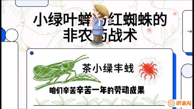 第03节（虫害篇）：看不见的吸血鬼：小绿叶蝉与红蜘蛛的&ldquo;非农药&rdquo;团灭战术（抗性治理），课程：《茶金时代：从&ldquo;看天吃饭&rdquo;到&ldquo;精准控局&rdquo;的茶叶高产提质实战课》