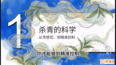 第05节（加工篇）：决胜2分钟：用&ldquo;数字温控&rdquo;破解杀青不匀，复刻大师级手工口感，课程：《茶金时代：从&ldquo;看天吃饭&rdquo;到&ldquo;精准控局&rdquo;的茶叶高产提质实战课》