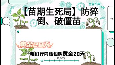 第2节：【苗期生死局】防猝倒、破僵苗，决定后期产量的&ldquo;黄金20天&rdquo;，课程：《辣椒种植实战特训营，从工业辣椒到精品小米辣，教你如何把&ldquo;草&rdquo;种成&ldquo;金&rdquo;》
