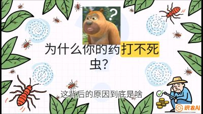 第4节：【虫害歼灭战】打不死的蓟马、隐形的茶黄螨：抗性时代的&ldquo;混配绝杀&rdquo;，课程：《辣椒种植实战特训营，从工业辣椒到精品小米辣，教你如何把&ldquo;草&rdquo;种成&ldquo;金&rdquo;》