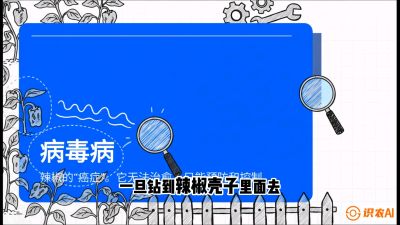 第5节：【病毒病阻击】辣椒的&ldquo;癌症&rdquo;怎么治？从&ldquo;绝收恐慌&rdquo;到&ldquo;带毒生产&rdquo;的逆转术，课程：《辣椒种植实战特训营，从工业辣椒到精品小米辣，教你如何把&ldquo;草&rdquo;种成&ldquo;金&rdquo;》