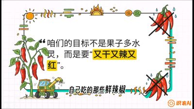 第7节：【工业辣椒专场】追求极致辣度！干物质提升与机械化采收的&ldquo;催红秘籍&rdquo;，课程：《辣椒种植实战特训营，从工业辣椒到精品小米辣，教你如何把&ldquo;草&rdquo;种成&ldquo;金&rdquo;》