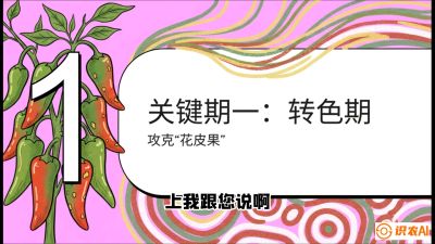 第8节：【小米辣线椒专场】颜值即正义！防花皮、防炭疽，打造收购商抢着要的&ldquo;精品果&rdquo;，课程：《辣椒种植实战特训营，从工业辣椒到精品小米辣，教你如何把&ldquo;草&rdquo;种成&ldquo;金&rdquo;》