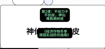 第2节：【物理手段】不动刀子不刮皮，神仙难救病树皮，课程：《经济作物冬季清园&middot;实战防坑指南》#识农AI