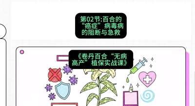 第02节：百合的&ldquo;癌症&rdquo;&mdash;&mdash;病毒病的阻断与急救，课程：《卷丹百合&ldquo;无病高产&rdquo;植保实战课》#识农AI