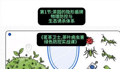 第01节：茶园的&ldquo;隐形盾牌&rdquo;&mdash;&mdash;物理防控与生态诱杀体系，课程：《茗茶卫士&mdash;&mdash;茶叶病虫害绿色防控实战课》#识农AI