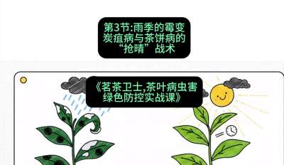 第03节：雨季的霉变&mdash;&mdash;炭疽病与茶饼病的&ldquo;抢晴&rdquo;战术，课程：《茗茶卫士&mdash;&mdash;茶叶病虫害绿色防控实战课》#识农AI