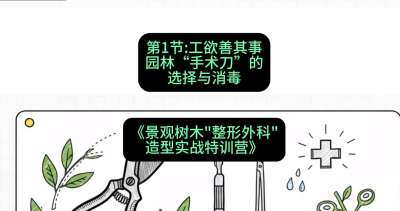第01节：工欲善其事&mdash;&mdash;园林&ldquo;手术刀&rdquo;的选择与消毒，课程：《景观树木&ldquo;整形外科&rdquo;造型实战特训营》#识农AI