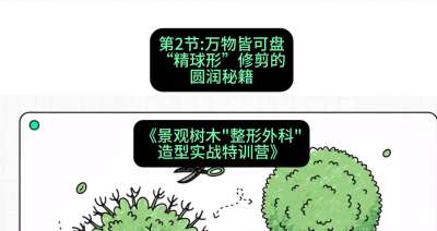 第02节：万物皆可盘&mdash;&mdash;&ldquo;精球形&rdquo;修剪的圆润秘籍，课程：《景观树木&ldquo;整形外科&rdquo;造型实战特训营》#识农AI