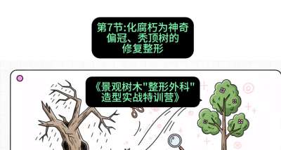 第07节：化腐朽为神奇&mdash;&mdash;偏冠、秃顶树的修复整形，课程：《景观树木&ldquo;整形外科&rdquo;造型实战特训营》#识农AI