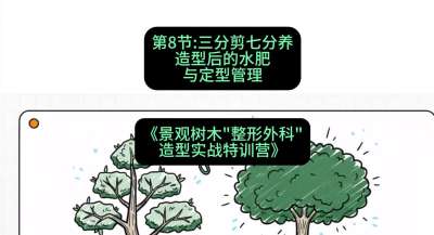第08节：三分剪七分养&mdash;&mdash;造型后的水肥与定型管理，课程：《景观树木&ldquo;整形外科&rdquo;造型实战特训营》#识农AI