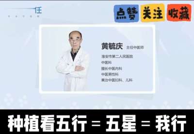中药材淫羊藿怎么种？听专家一次讲明白！不挑地块好管理，耐寒耐旱省心省力，新手也能轻松上手，药用价值高、市场需求稳，妥妥的增收好品种～ 从生长习性到采收要点，干货满满无废话，种植疑问直接问，一对一答疑解