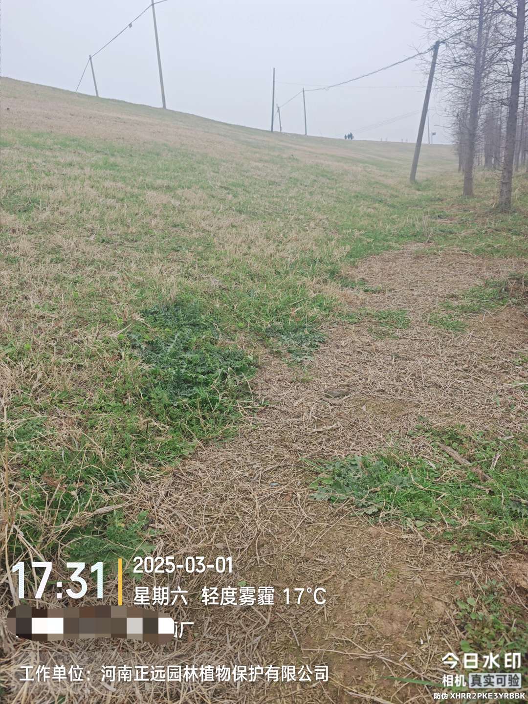 http://st-static1.58ouye.com/forums/2026/02/02/17700008909278.jpeg