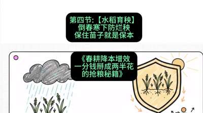 第四节：【水稻育秧】倒春寒下防烂秧，保住苗子就是保本