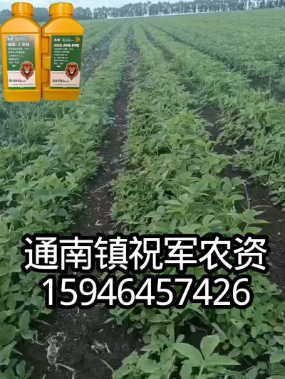大豆苗前封闭，可封红根苋菜，灰菜，兰花菜，野豆子，捞豆秧等恶性杂草，封杀兼备的高端产品。