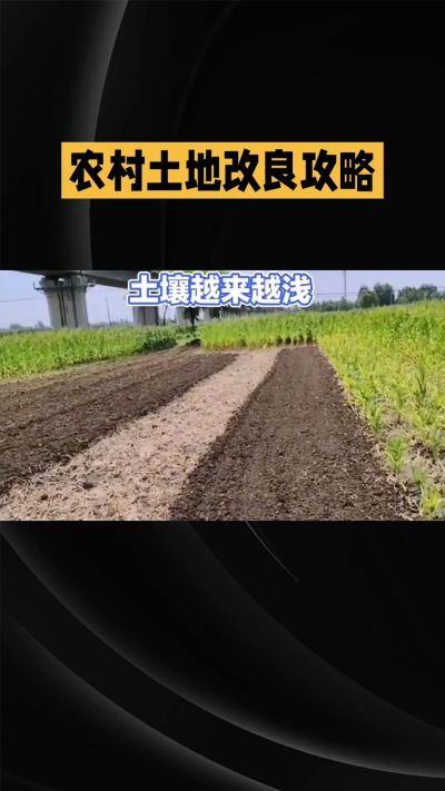 1. 先搞懂：你到底要改良哪块地、种什么
 
- 土土土在哪里？
就是你自家农田、菜地、果园，哪块地想种庄稼，就测哪块地的土。
​
- 有水没有水？
有水能浇：改良更省事，施肥、调酸碱都好操作。
没水