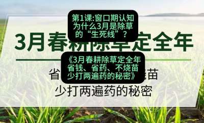 第1节：窗口期认知，为什么3月是除草的&ldquo;生死线&rdquo;？，课程：《3月春耕除草定全年：省钱、省药、不烧苗、少打两遍药的秘密》