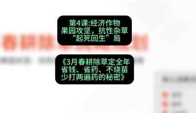 第4节：经济作物果园攻坚，抗性杂草&ldquo;起死回生&rdquo;局，课程：《3月春耕除草定全年：省钱、省药、不烧苗、少打两遍药的秘密》