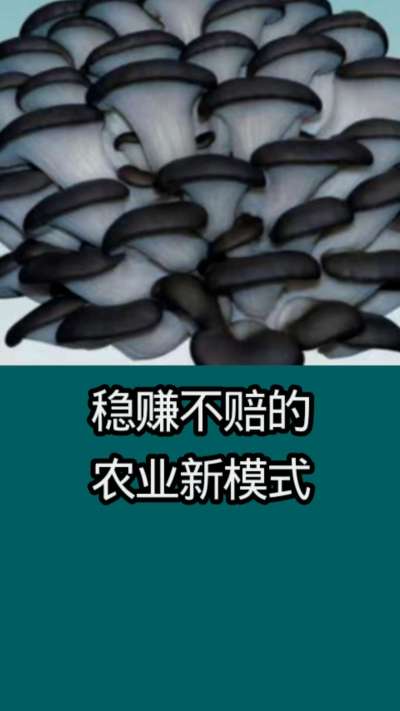 稳赚不赔的农业新模式