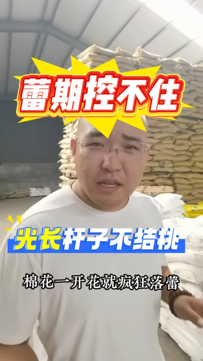 棉花蕾期控不住，光长杆子不结桃